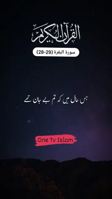 Surah Al Baqarah verse 28,29 Quran translation #pind25 #Chak 25DB #Mian #mian-vlog-Mianwali #Vlog