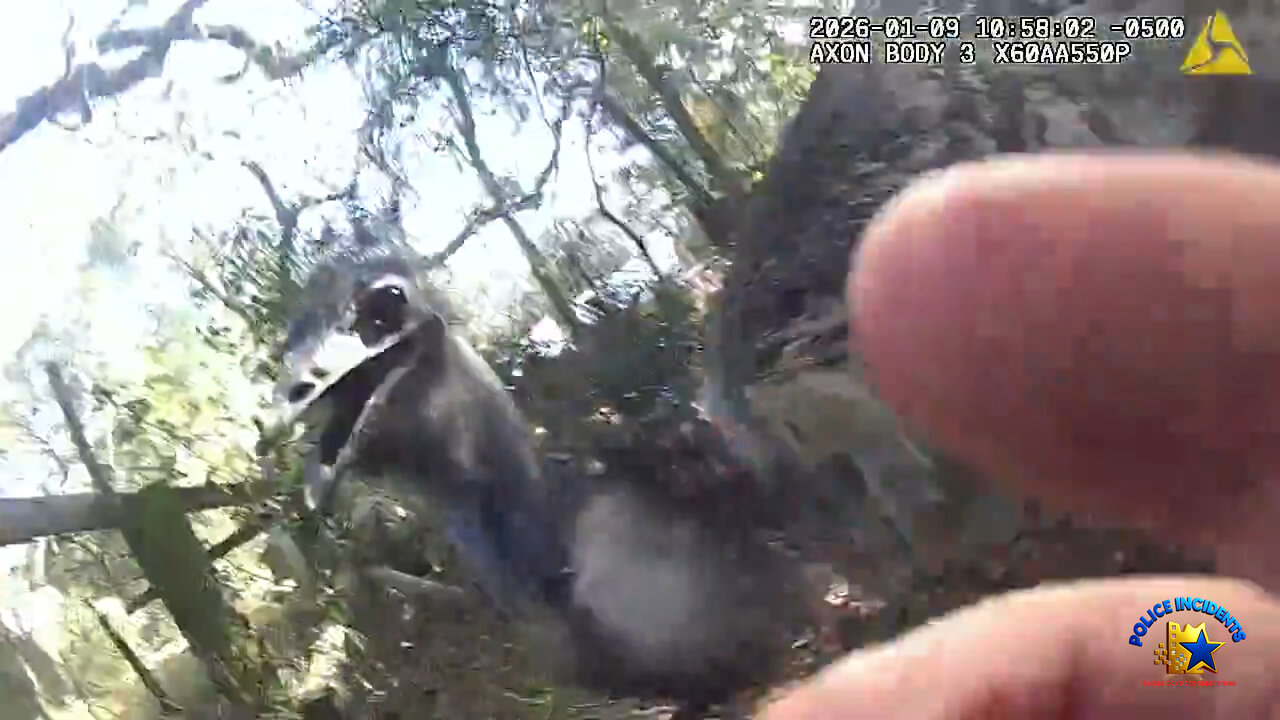 𝐑𝐔𝐍𝐀𝐖𝐀𝐘 𝐄𝐌𝐔 𝐂𝐀𝐏𝐓𝐔𝐑𝐄𝐃 𝐁𝐘 𝐒𝐉𝐒𝐎, 𝐒𝐀𝐅𝐄𝐋𝐘 𝐑𝐄𝐔𝐍𝐈𝐓𝐄𝐃 𝐖𝐈𝐓𝐇 𝐎𝐖𝐍𝐄𝐑𝐒