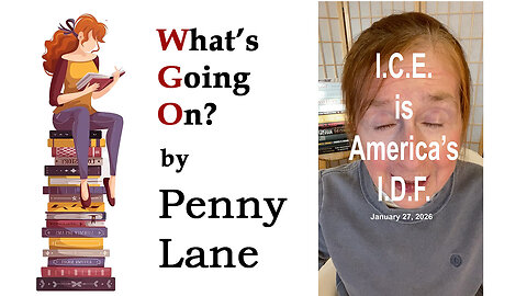 I.C.E. is America’s I.D.F.