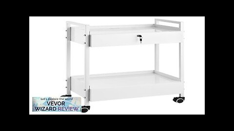 VEVOR Lab Cart 2 Tiers Stainless Steel Utility Cart Medical Cart Review