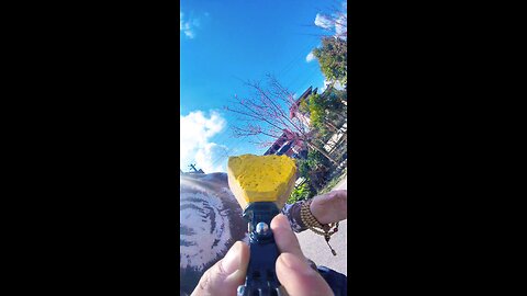 Cute little monster 🐕😍