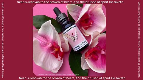 🌸Freedom Flowers Healthy Intimacy Review🌸