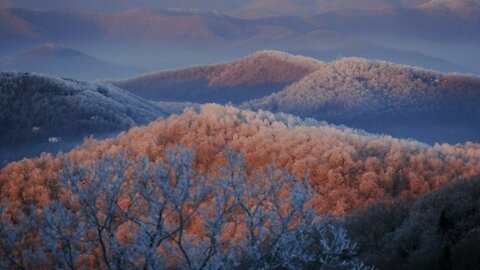 Good Morning ComicsGate Ep #76