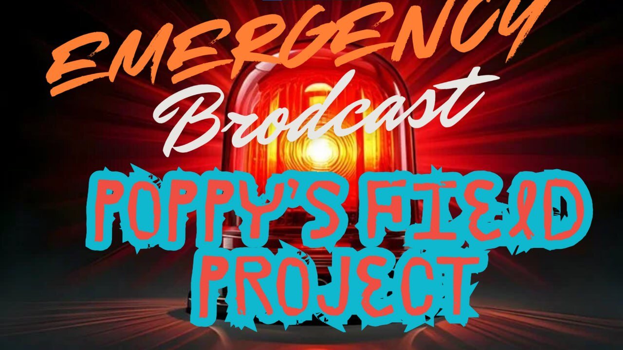 12/10/2025 Poppy's Field Project