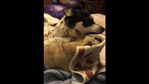 Bloo and Lucy Attack the Blanket Monster