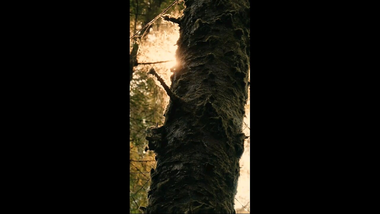 Daily Verse January 6th 2025