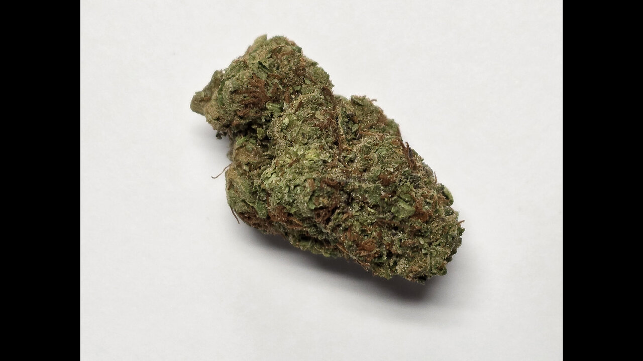 Georgia Pie THCA Flower Madison, WI Dispensary