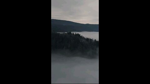 Daily Verse January 25th 2025