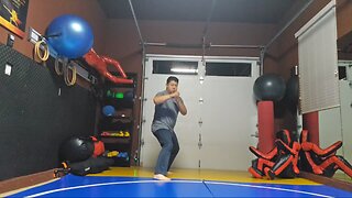 WTD Front Kick to Snap Hook Kick sequential