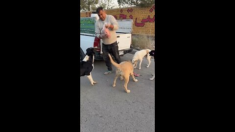 He Was Abandoned, But I Couldn’t Walk Away