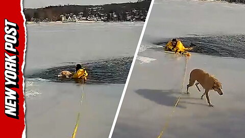 Hero cop saves dog from frozen lake