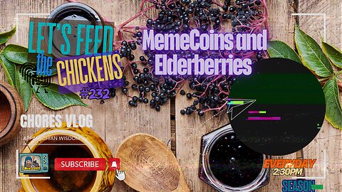 MemeCoins and Elderberries | Let's Feed the Chickens | E232