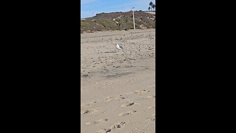 I'm here for the picnic 🧺