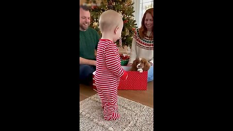The best Christmas gift 🎁🐶