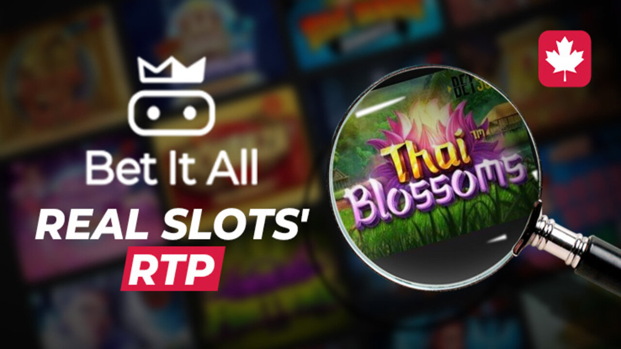 Real RTP and Bet It All Casino's Review