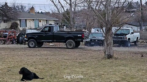 Graham Family Farm: 11:30 AM February 4th 2025