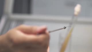 A Double‑Melting Anomaly Revealed a New Phase of Matter 🧪