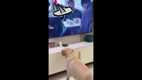 Palm Tree's Epic Melt_ Live Look Outside Now!