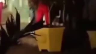 Members of the Cuban regime have just ambushed the United States Ambassador