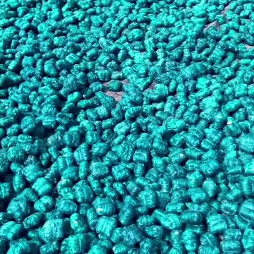 "Unbelievable Fire Crackers Making Process: INSIDE the Bomb Factory! 🔥🎆"