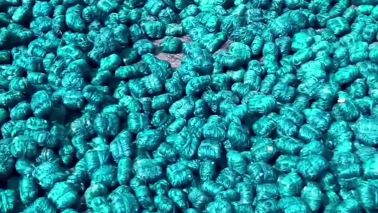 "Unbelievable Fire Crackers Making Process: INSIDE the Bomb Factory! 🔥🎆"