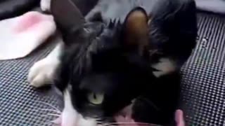 Mother!