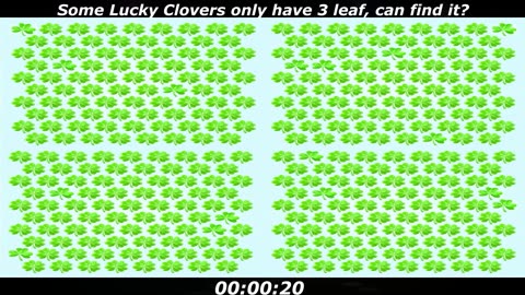 Lucky Clover puzzle: Some Lucky clovers only have 3 leaf, can find it?