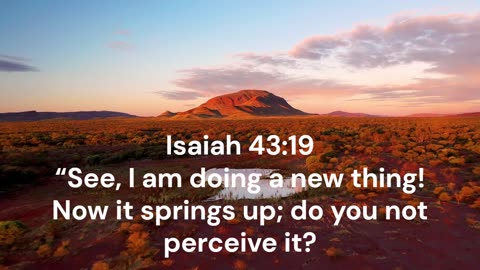 Weekly Devotion: A New Thing