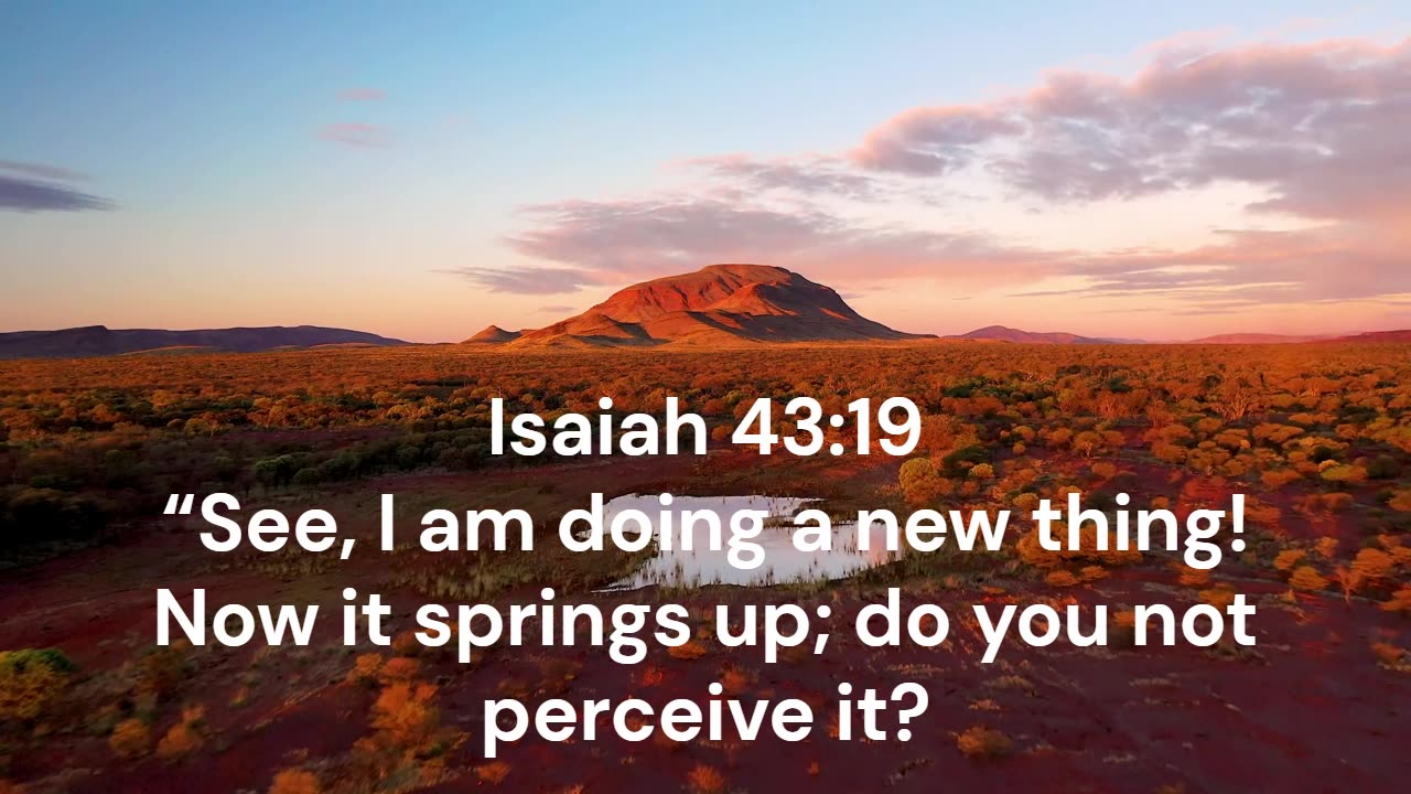 Weekly Devotion: A New Thing