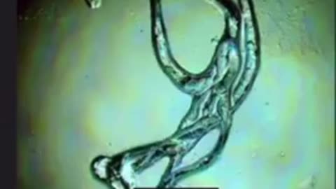 OZEMPIC NANOTECH DEPOPULATION TECHNOLOGY