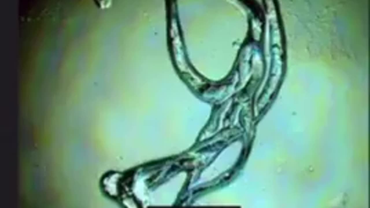 OZEMPIC NANOTECH DEPOPULATION TECHNOLOGY