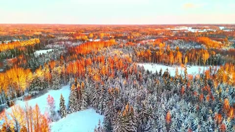 Ocean Drive House Mix – Chill Waves Edition