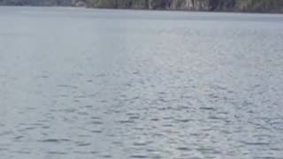 lago maihue