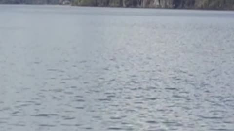 lago maihue