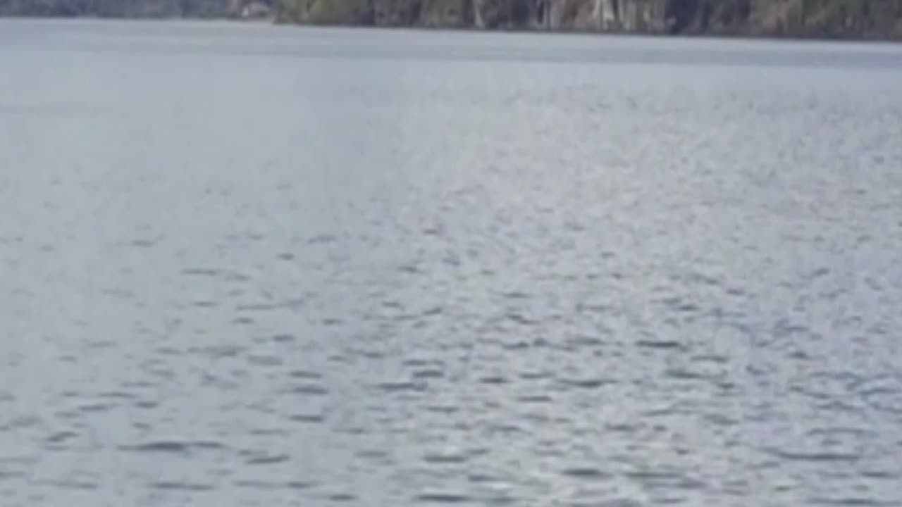 lago maihue