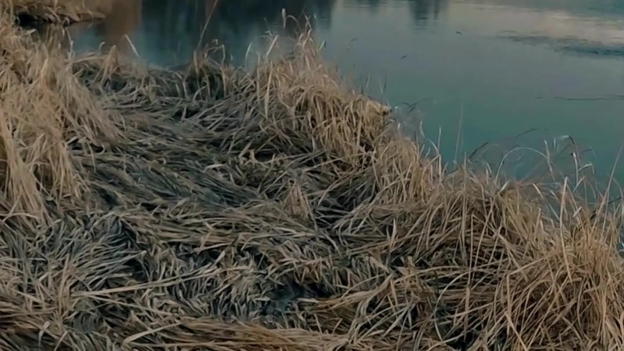 Return to Your Center...