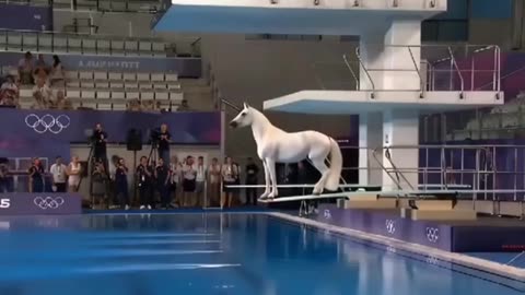 Animal Olympics: Diving 🥇🐂🐎