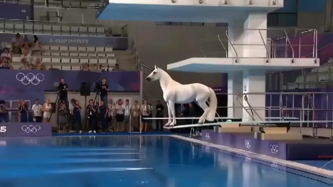 Animal Olympics: Diving 🥇🐂🐎