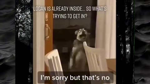 😱👻 This Clip Will Give You Chills! Creepy Paranormal Videos | TheHauntingHour