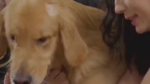 PET Rescue Stories That Will INSPIRE You