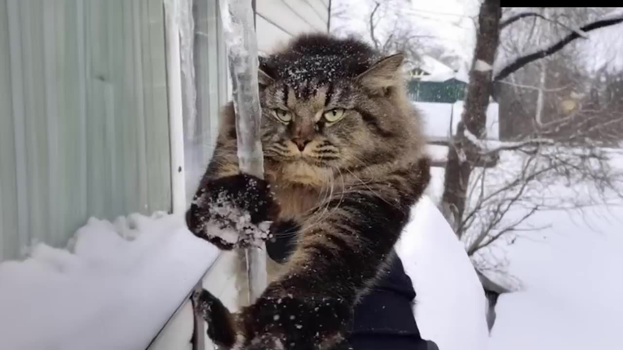 SNOW FUN MONDAY 2.16.26