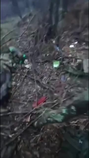 A bunch of dead swineherds.