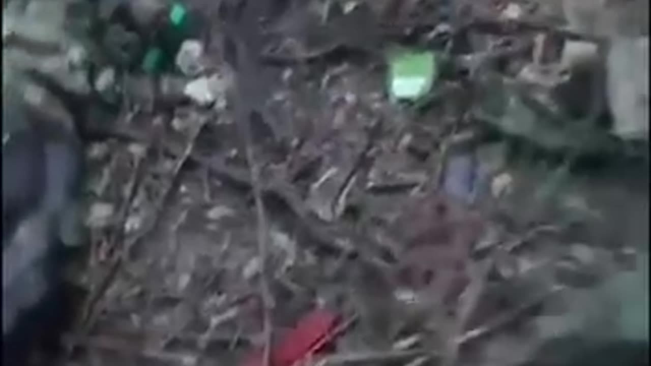 A bunch of dead swineherds.