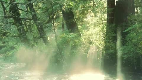 criando canal de musicas boa.mp4