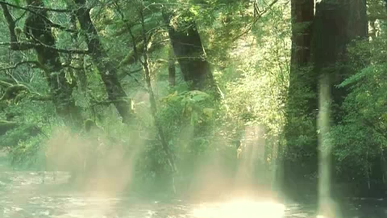 criando canal de musicas boa.mp4