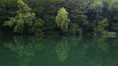 Sailing down a river surrounded by trees