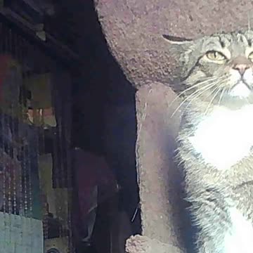 EA S129 - Can't Get No Peace