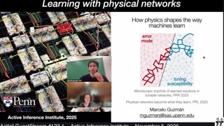 ActInf GuestStream 123.1 ~ Marcelo Guzman: "Learning in Physical Systems"