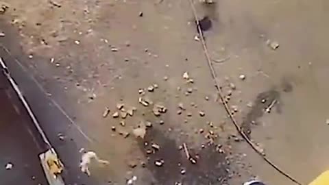 No Squirrel Suit Needed