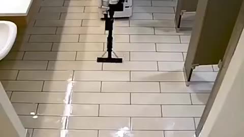 SOMATIC, bathroom cleaning robots